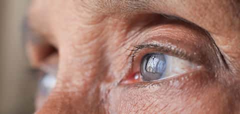 detail shot of senior women eye