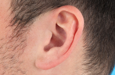 Close-up of a male ear after otoplasty surgery showing corrected ear contour and natural appearance