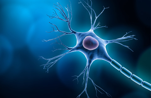 3D illustration of a nerve cell highlighting nerve injury, pain signals, and nerve damage.