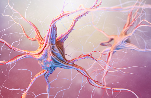 3d illustration of peripheral nerve cells highlighting nerve damage and surgical repair concepts