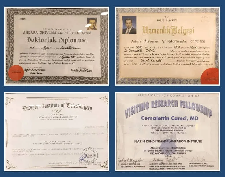 Diplomi di Cemalettin Camcı